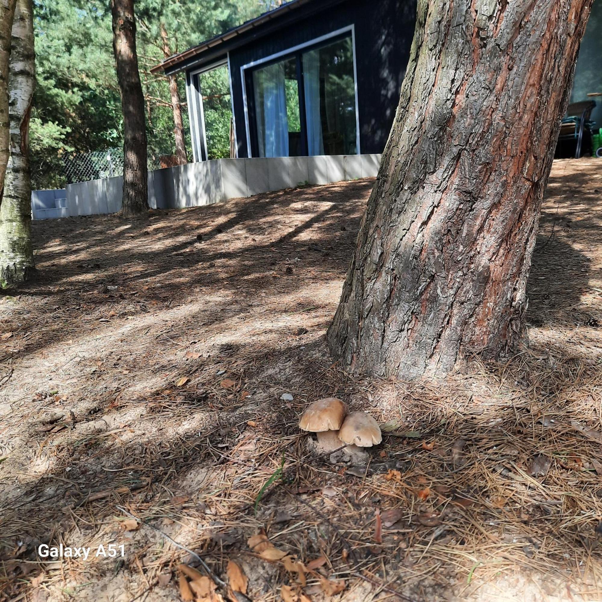 Domek Lesniczowka Gorzewo Esterno foto